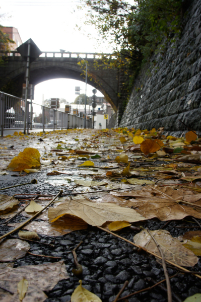 f:id:goldhead:20101203125622j:image