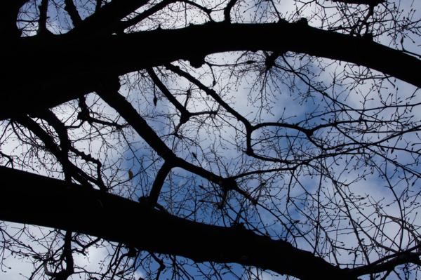 f:id:goldhead:20101203125623j:image