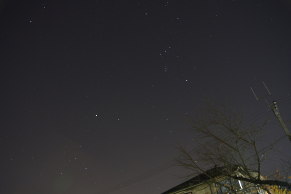 f:id:goldhead:20101211023401j:image