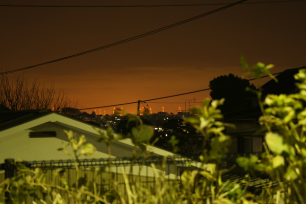 f:id:goldhead:20101211023402j:image