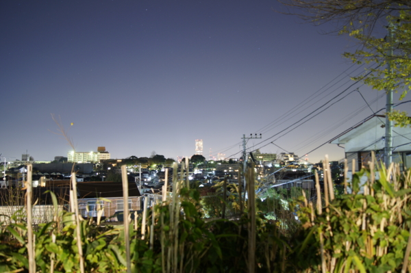 f:id:goldhead:20101211023404j:image