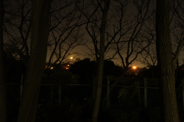 f:id:goldhead:20101215015722j:image