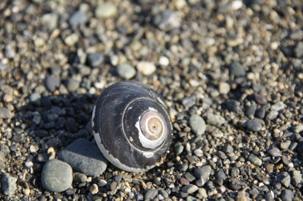 f:id:goldhead:20101219015004j:image