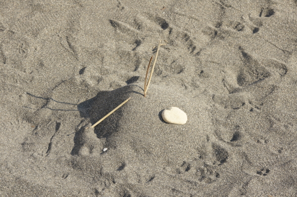 f:id:goldhead:20101219015007j:image