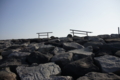 20101219015008
