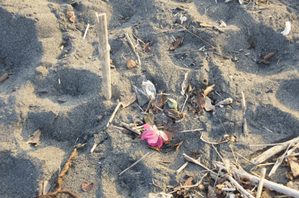 f:id:goldhead:20101219015023j:image