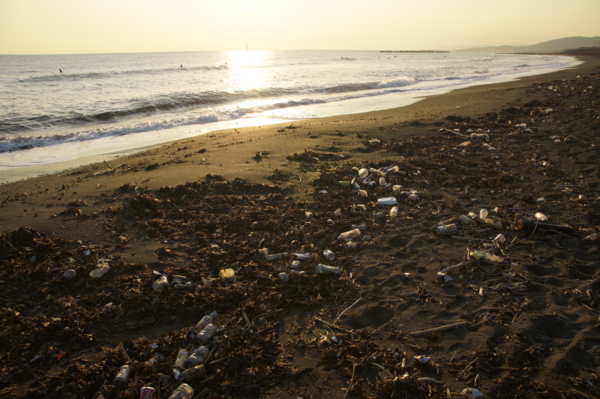 f:id:goldhead:20101219015024j:image