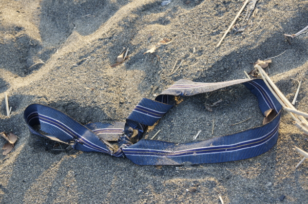 f:id:goldhead:20101219015027j:image