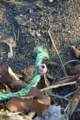 20101219015028