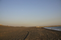 20101219015031