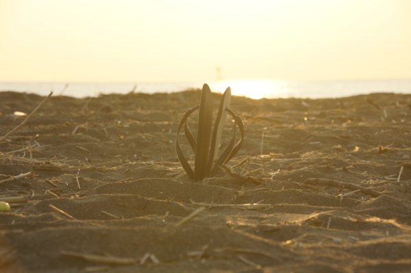 f:id:goldhead:20101219015035j:image