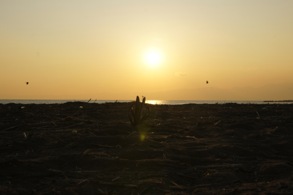 f:id:goldhead:20101219015036j:image