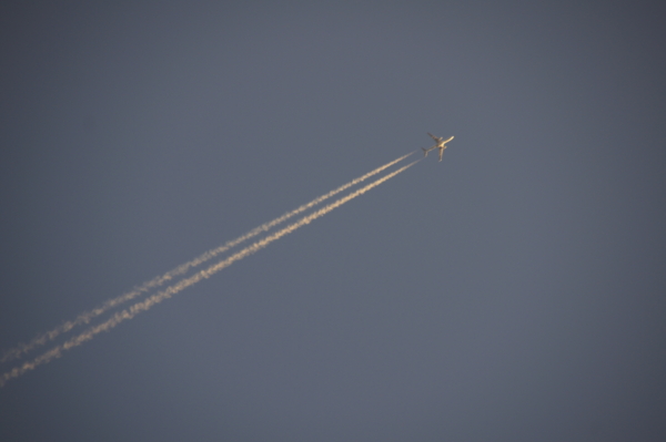 f:id:goldhead:20101222004606j:image