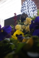 20101228134805