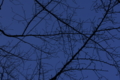 20110103012953