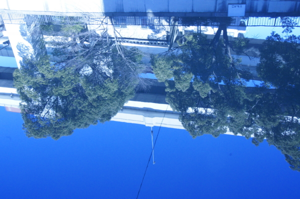 f:id:goldhead:20110201235752j:image f:id:goldhead:20110201235752j:image