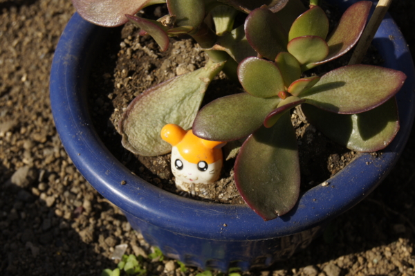 f:id:goldhead:20110204011602j:image