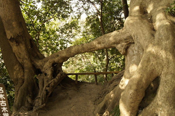 f:id:goldhead:20110204012325j:image