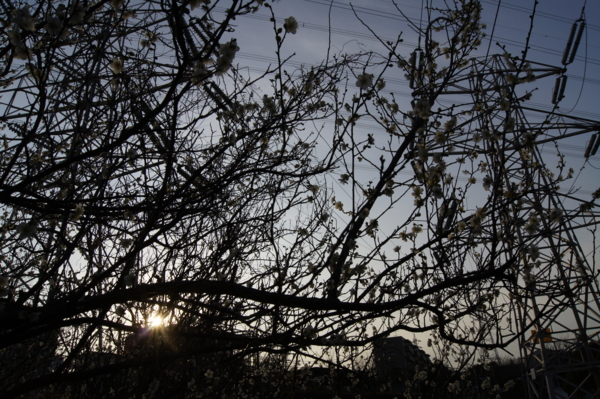 f:id:goldhead:20110204012329j:image
