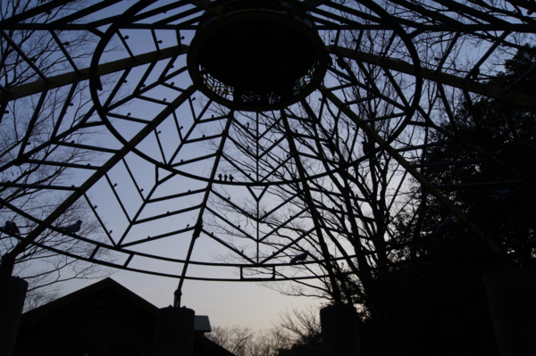 f:id:goldhead:20110204012330j:image