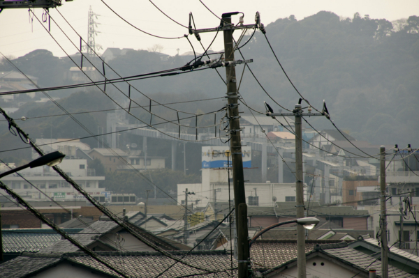 f:id:goldhead:20110209125203j:image