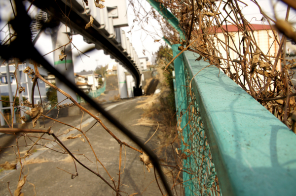 f:id:goldhead:20110209125208j:image