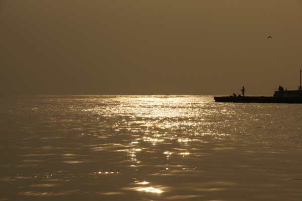f:id:goldhead:20110210124850j:image