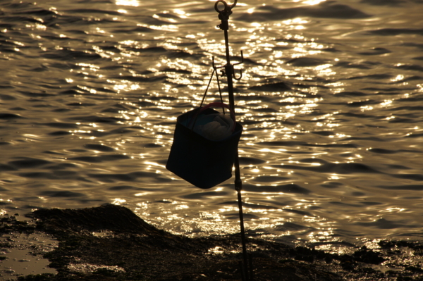 f:id:goldhead:20110210124855j:image