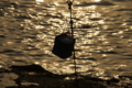 20110210124855