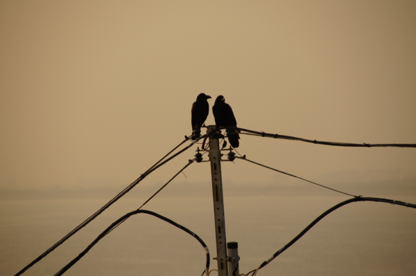 f:id:goldhead:20110210124859j:image