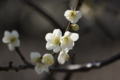 20110228012903