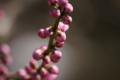 20110228012904