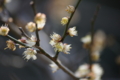 20110228012905