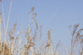 20110228012911