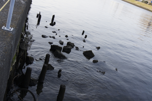 f:id:goldhead:20110228012921j:image