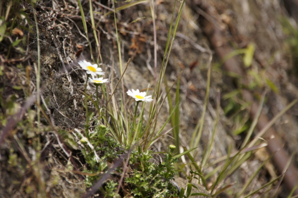 f:id:goldhead:20110307025652j:image