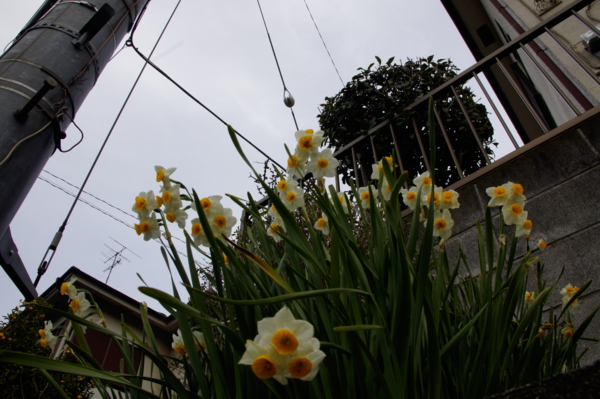 f:id:goldhead:20110307025702j:image