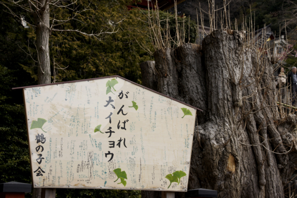 f:id:goldhead:20110320173815j:image