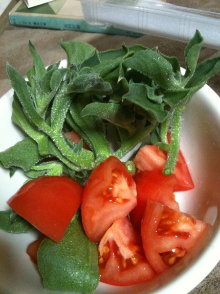 f:id:goldhead:20110323125033j:image:w300