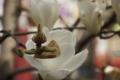 20110403224351