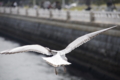 20110403224355