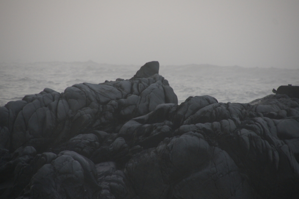 f:id:goldhead:20110505223037j:image f:id:goldhead:20110505223037j:image