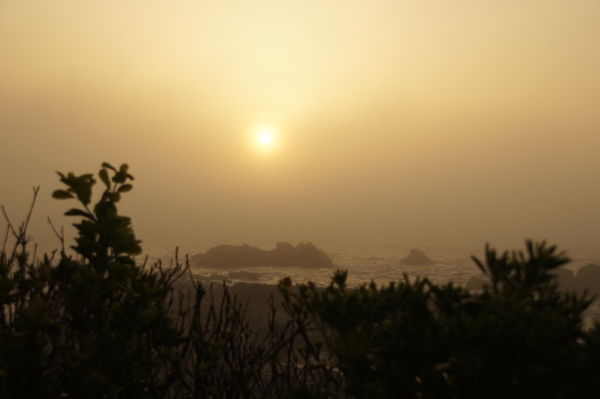 f:id:goldhead:20110505223044j:image f:id:goldhead:20110505223044j:image