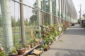 20110507231632