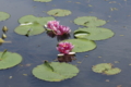 20110518010101