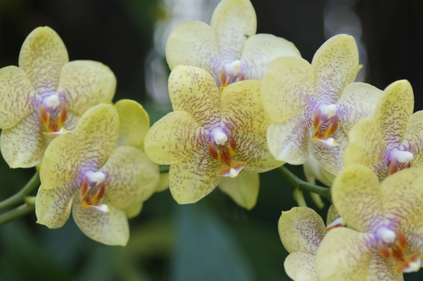 f:id:goldhead:20110518010103j:image f:id:goldhead:20110518010103j:image