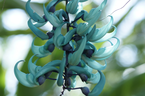 f:id:goldhead:20110518010104j:image f:id:goldhead:20110518010104j:image