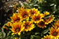 20110518010109