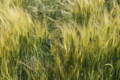 20110518010959