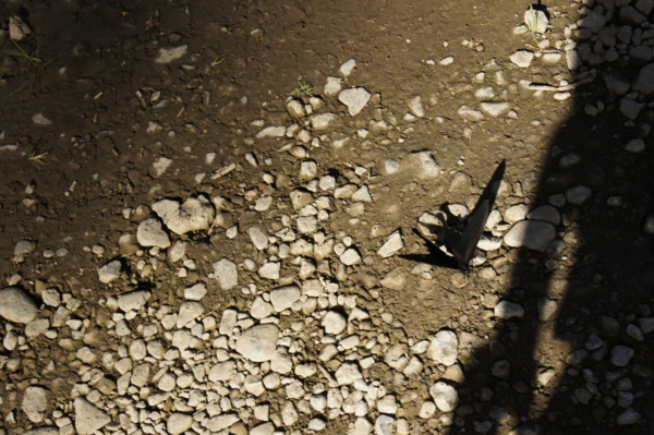 f:id:goldhead:20110518011000j:image f:id:goldhead:20110518011000j:image